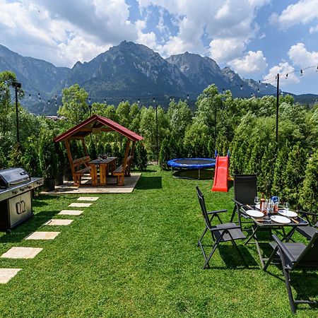 Ama Garden Apartment Buşteni エクステリア 写真