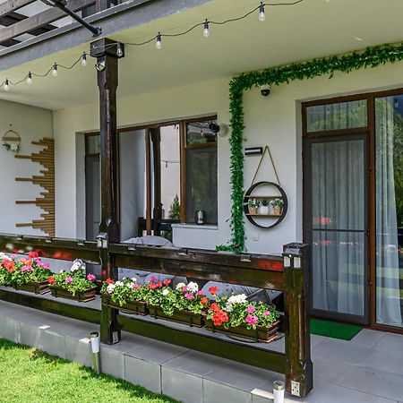 Ama Garden Apartment Buşteni エクステリア 写真