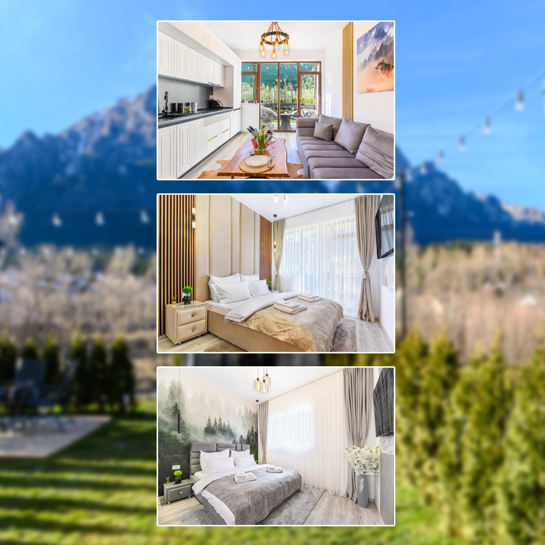 Ama Garden Apartment Buşteni エクステリア 写真