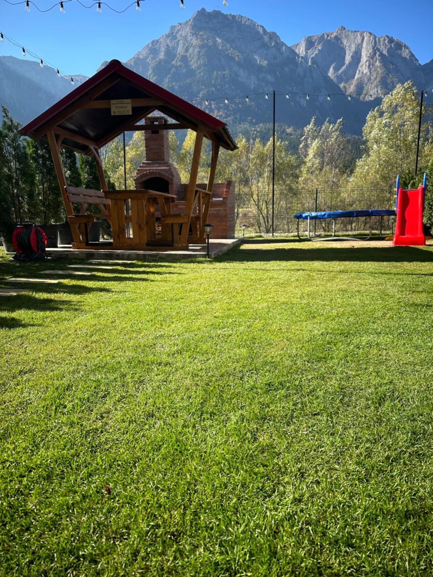Ama Garden Apartment Buşteni エクステリア 写真
